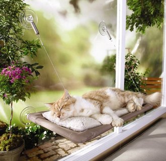 Подарите любимым домашним животным оконную кровать SUNNY SEAT WINDOW MOUNTED CAT BED – и они будут в