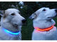 Светящийся ошеник, led ошейник, светодиоды, светодиодный ошейник, для собаки, подсветка, Flashdog